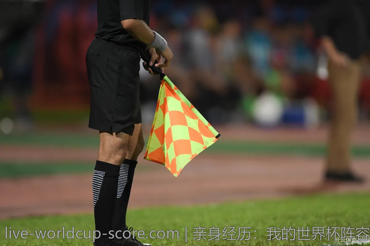 亲身经历：我的世界杯阵容选择与投注经历