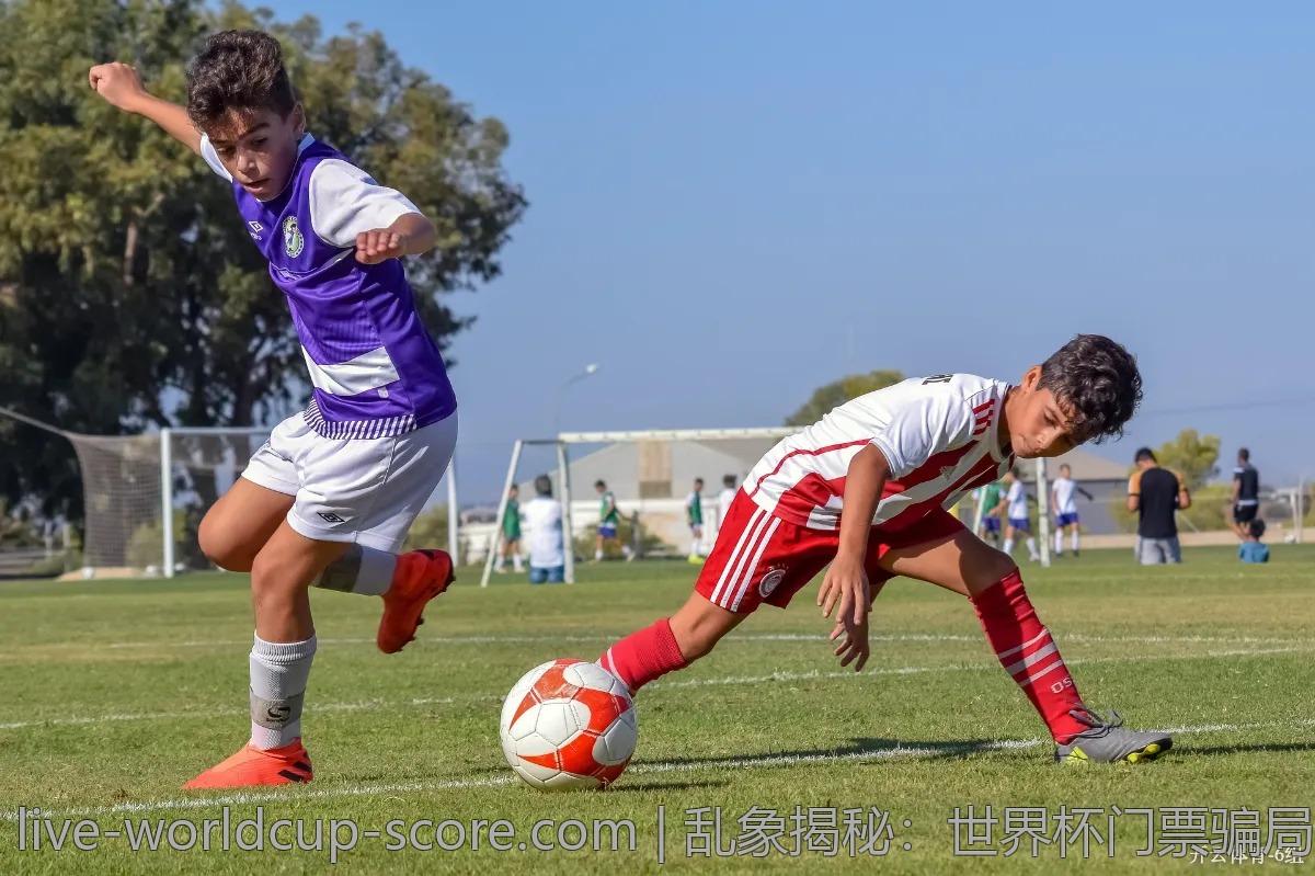 乱象揭秘：世界杯门票骗局与避坑建议