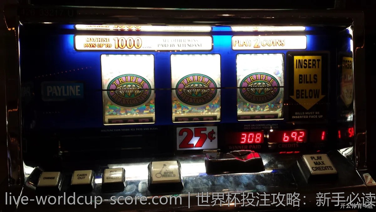 世界杯投注攻略：新手必读的四大常识
