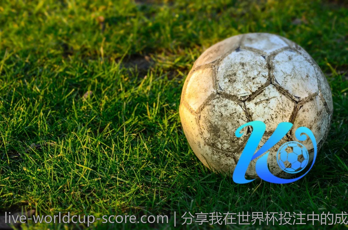 瞬间上手！世界杯投注APP使用技巧分享