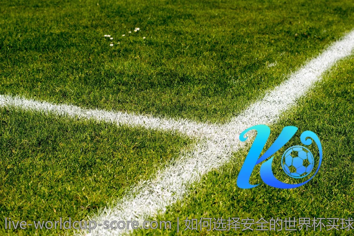 理性分析：2026世界杯各队阵容的高低起伏