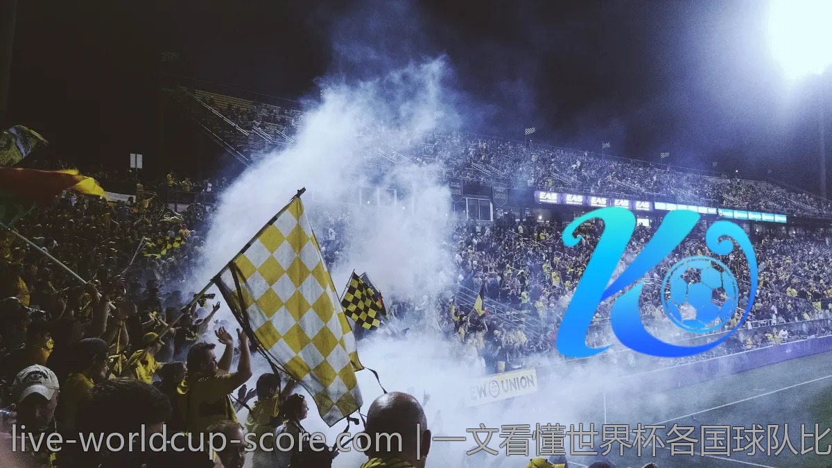 一文看懂世界杯各国球队比分，助你轻松分析！